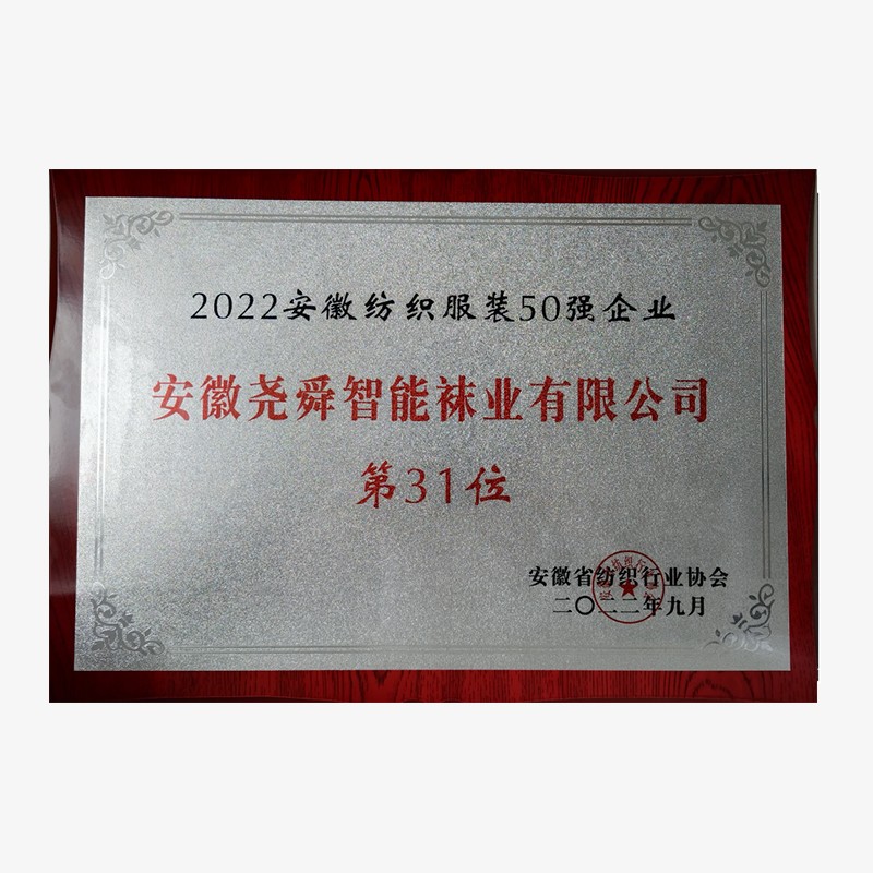 2022安徽省纺织服装50强企业