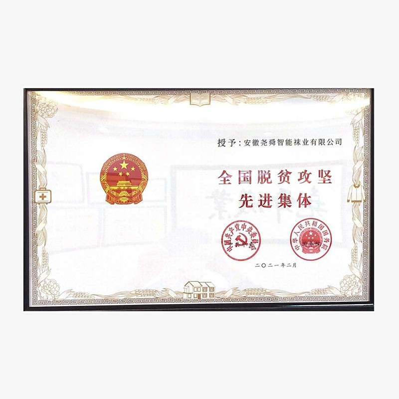 2021全国脱贫攻坚先进集体证书