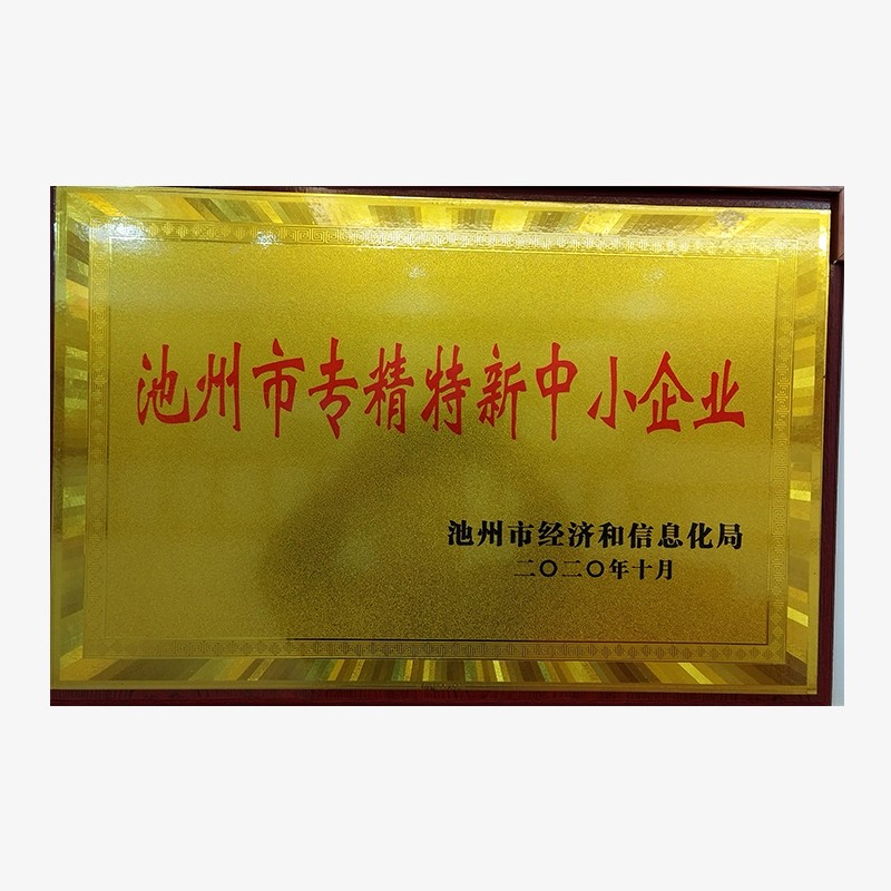 池州市专精特新中小企业