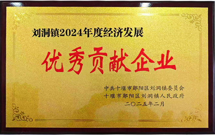 高朋2024年度郧阳区刘洞镇经济发展优秀贡献单位