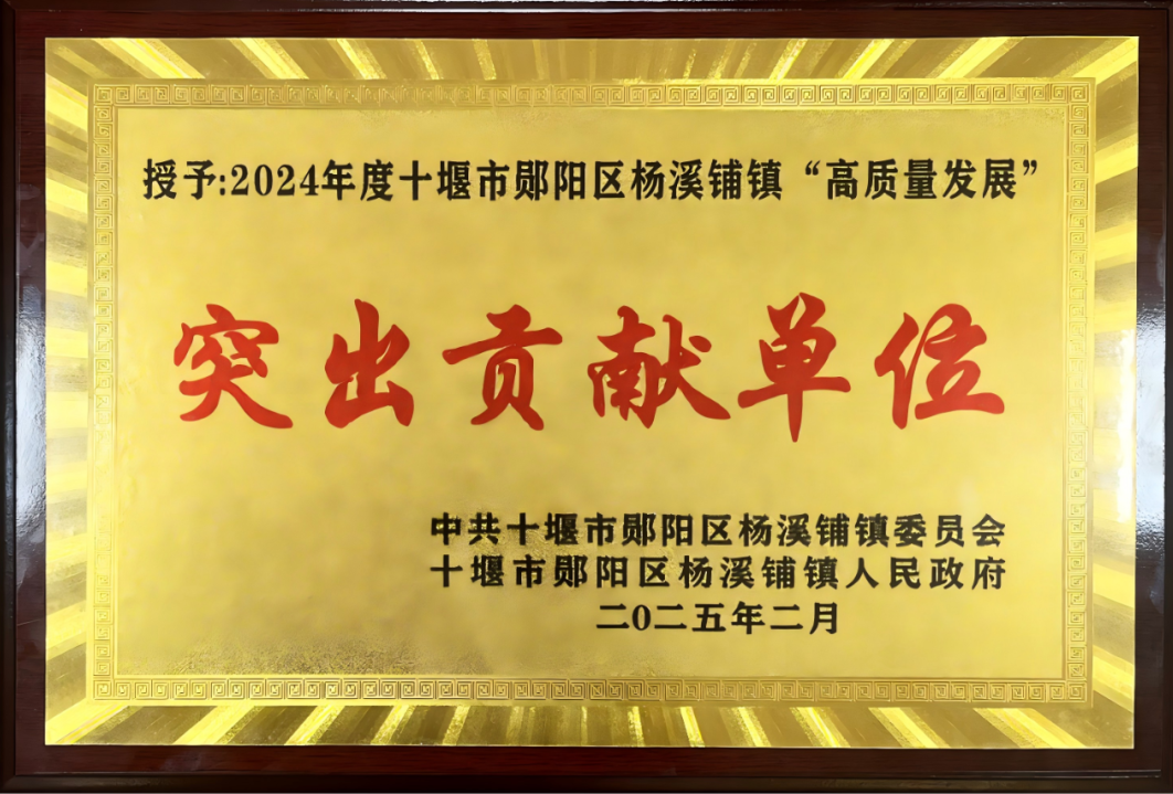 棉伙棉伴2024年度杨溪铺镇高质量发展突出贡献单位